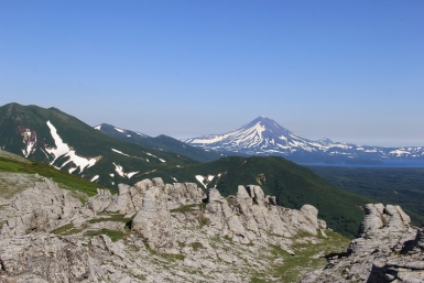 "Дело об очистке" Кроноцкого заповедника вышло на новый виток