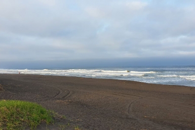 Халактырский пляж Анастасия Табачинская, ИА KamchatkaMedia
