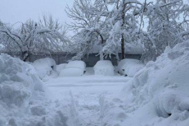 Автомобили под снежными ветвями Ольга Семёнова, ИА KamchatkaMedia