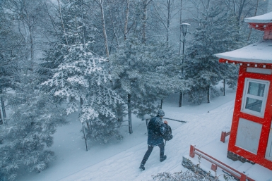 Опять метель! Мария Смитюк, ИА PrimaMedia.ru