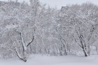 Опять циклон! ИА KamchatkaMedia