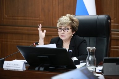 Ирина Унтилова на заседании Законодательного Собрания Камчатского края Пётр Мартыненко