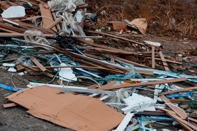 Свалка Илья Аверьянов, ИА PrimaMedia.ru