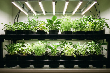 Тематическое фото ИИ Qwenlm.a (18+)