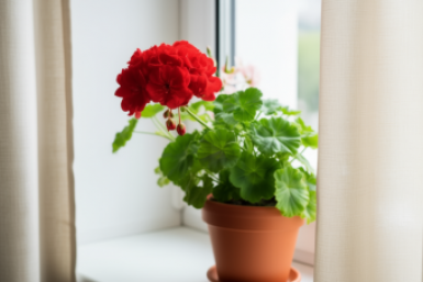 Тематическое фото Изображение сгенерировано ИИ Qwenlm.a (18+)