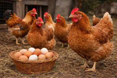 Тематическое фото Изображение сгенерировано ИИ Qwenlm.a (18+)