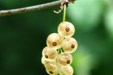 Тематическое фото Pxhere.com