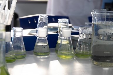 Открытие лаборатории биотестирования Ирина Васильева, ИА KamchatkaMedia