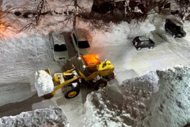 Расчистка двора в Петропавловске-Камчатском ИА KamchatkaMedia