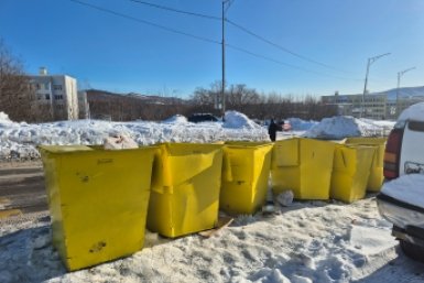 Мусорные контейнеры Анна Биланич, ИА KamchatkaMedia