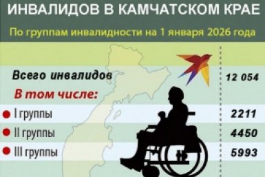 На Камчатке перед выборами посчитали избирателей с инвалидностью Избирательная комиссия Камчатского края