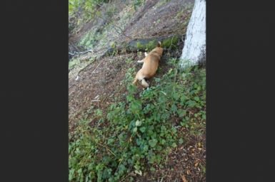 Фото с места событий Соцсети (18+)