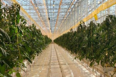 Фото Правительство Камчатского края