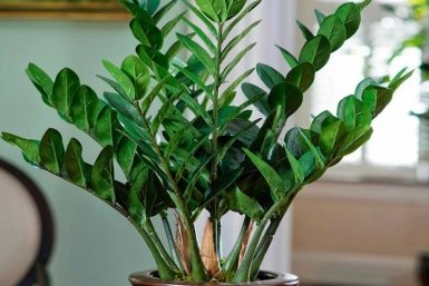 Тематическое фото Изображение сгенерировано ИИ Qwenlm.a (18+)