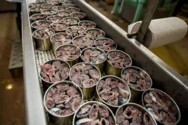 "Главное разочарование": на Дальнем Востоке недоловили иваси, кальмара и палтуса