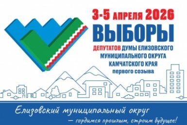 Выборы депутатов ЕМО Избирательная комиссия ЕМО
