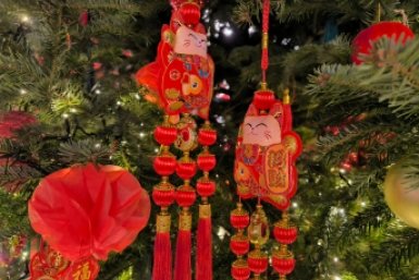 Камчатцы будут отмечать восточный Новый год с драконами, пельменями и вэйци