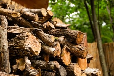 дрова, заготовка дров, отопление, отопительный сезон, печь, баня, частный дом, особенности частного дома, заготовка дров, топка печи, деревня, частный дом, поленья Евдокия Сорокина, ИА AmurMedia