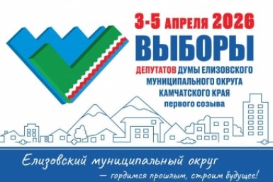 Выборы в Елизовскую Думу Избирательная комиссия Камчатского края