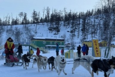 Берингия-2026 стартовала! Оргкомитет гонки