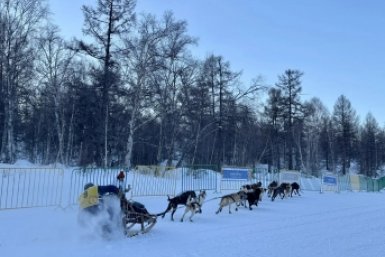 &quotБерингия&quot-2026  в пути Оргкомитет гонки