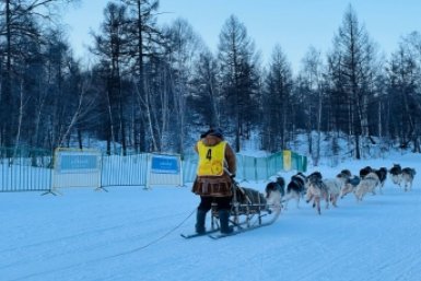 Берингия-2026 Оргкомитет гонки