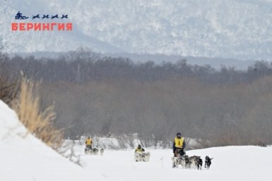 &quotБерингия-2026&quot Оргкомитет гонки