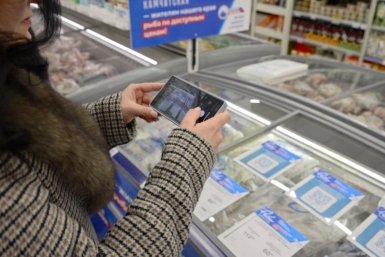 Проверка &quotРыбы Камчатской&quot kamgov.ru