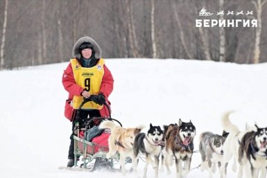 Берингия-2026 Оргкомитет гонки