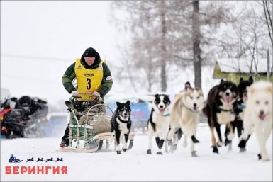 &quotБерингия-2026&quot ТГ-канал &quotБерингия&quot (18+)
