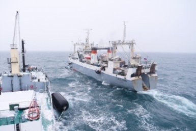 Камчатка показала пример бизнесу: рыбопромысел завоевал главную российскую премию