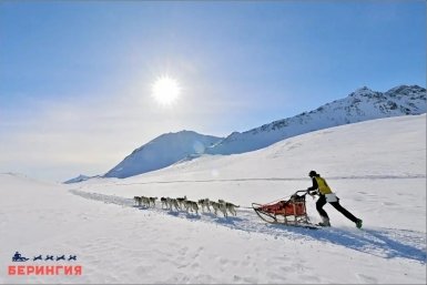 Берингия-2026 Оргкомитет гонки