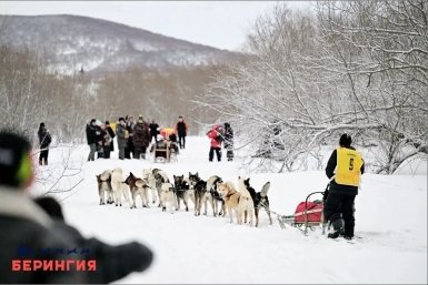 &quotБерингия-2026&quot Оргкомитет гонки
