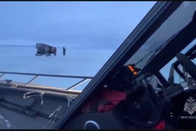 Скриншот из видео КГКУ &quotЦОД&quot