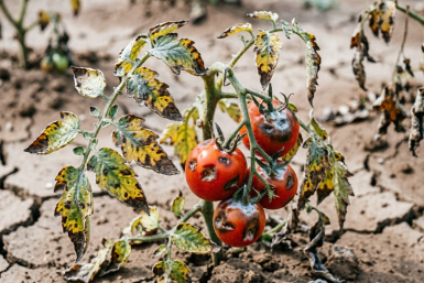 Тематическое фото ИИ Qwenlm.a (18+)