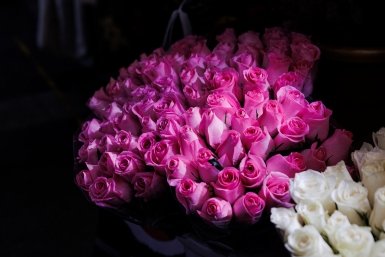 Цветочный магазин Евгений  Кулешов, ИА PrimaMedia.ru