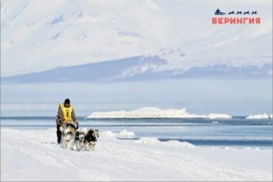 На Камчатке участники "Берингии-2026"  преодолевают 19 этап гонки