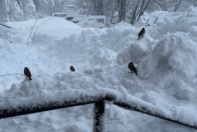 Архивное фото Ольга Семёнова,  ИА KamchatkaMedia