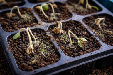 Тематическое фото Изображение сгенерировано ИИ Qwenlm.a (18+)