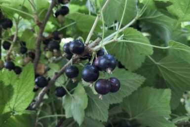 Тематическое фото ИИ Qwenlm.a (18+)