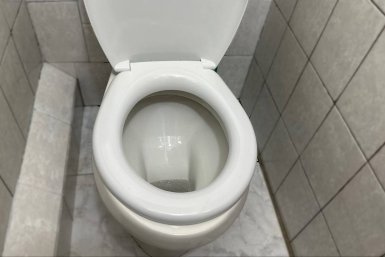 Залейте унитаз соком этого фрукта: отбеливает мощнее химии через 2 минуты ИА KrasnodarMedia