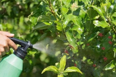  Создано при помощи ИИ