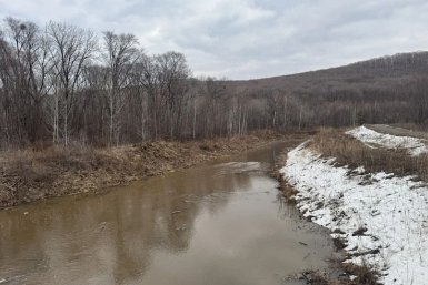 Несколько сел в Приморье получат защиту от паводков в этом году Пресс-служба правительства Приморского края
