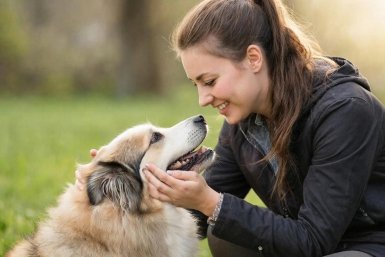 Не овчарка и не шпиц: самые любимые собаки россиян - топ-5 Создано при помощи ИИ