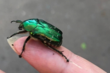 Тематическое фото Артем Дубенчук