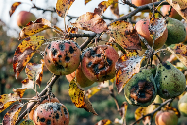 Тематическое фото Создано при помощи ИИ