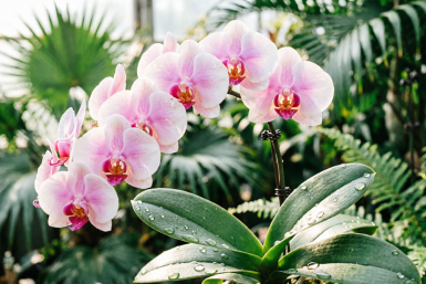 Тематическое фото Создано при помощи ИИ