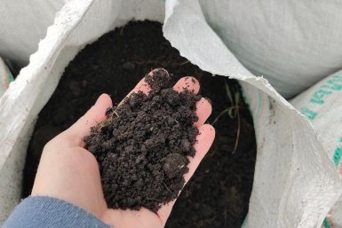 Тематическое фото Автора