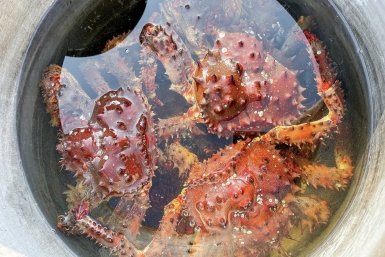 Тематическое фото ИА PrimaMedia