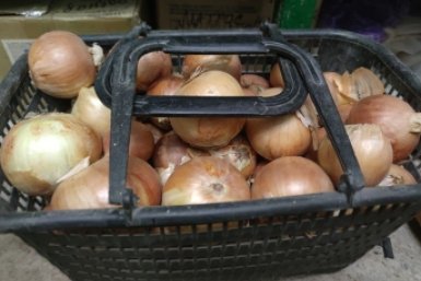 Лук без газеты больше не сажаю: головки - как яблоки, не горчат и не &quotкусаются&quot ИА KrasnodarMedia